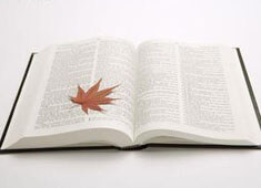 平淡的日子要给自己找点乐子