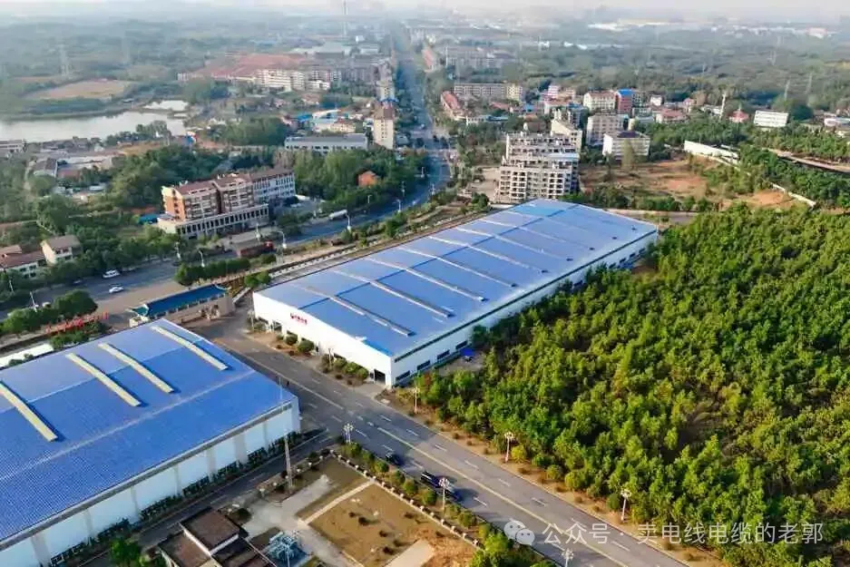 从互联网到电缆厂：一个十五年互联网人的下沉转型之路